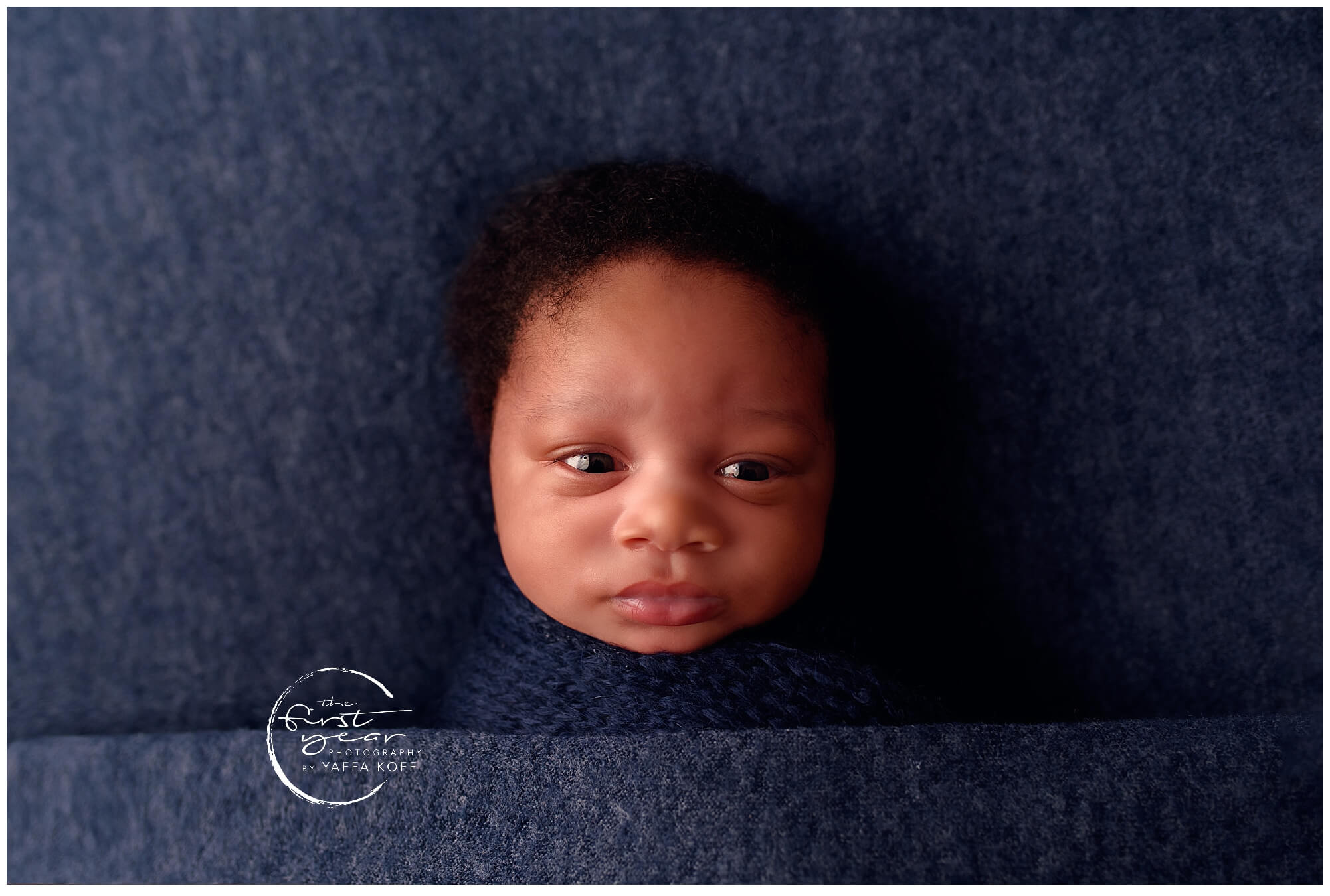 washington dc newborn photography