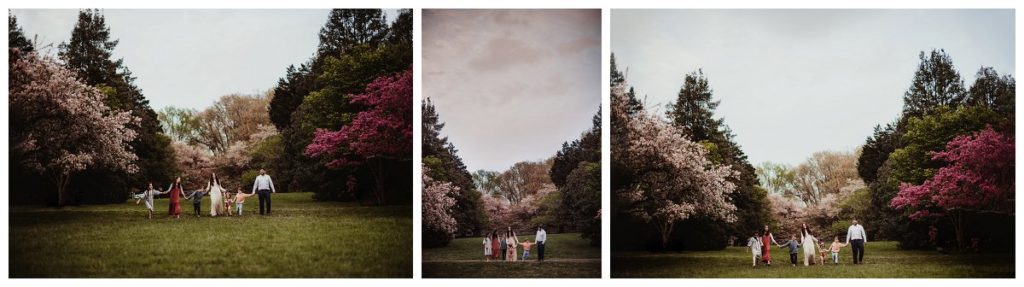 Newborn Photographer in Silver Spring