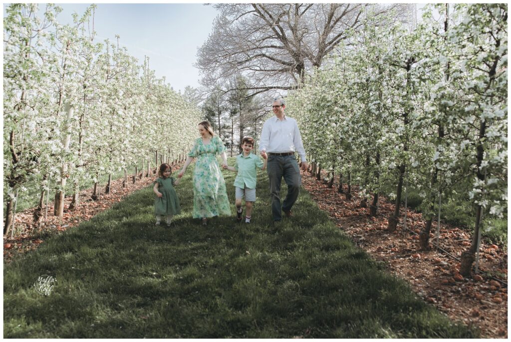 outdoor spring photo session