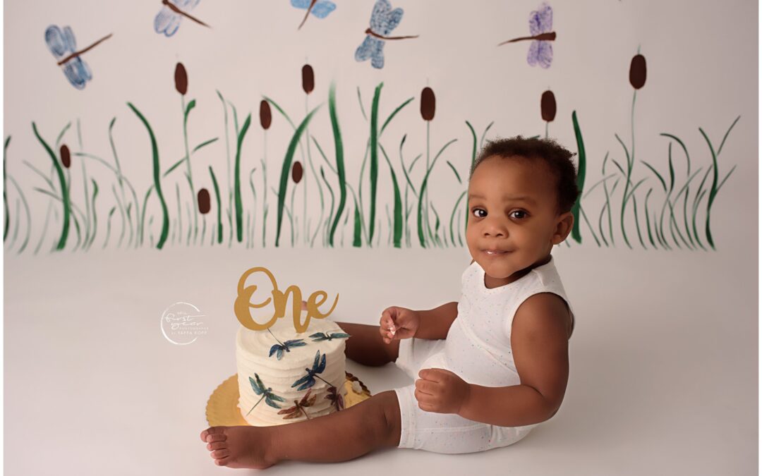 What’s All The Excitement About A Cake Smash | Silver Spring Newborn Photographer