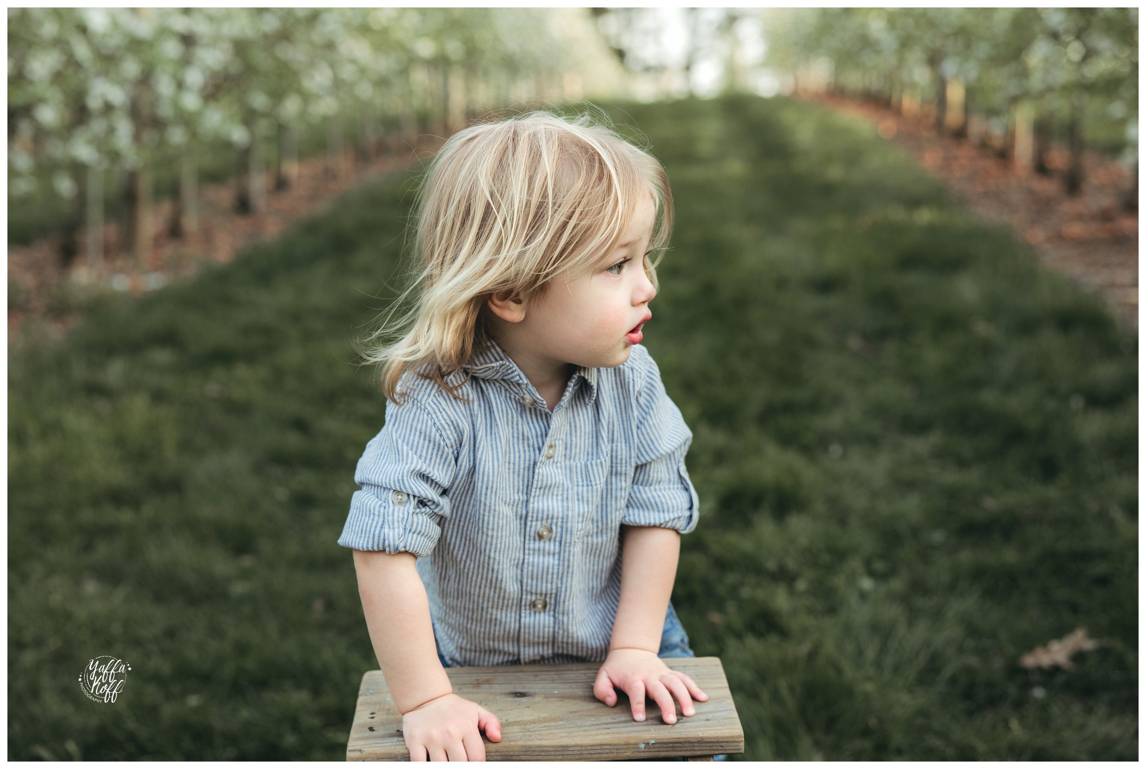 Baby leans against a stool during Family Portraits In The Spring 